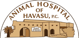 animal hospital of havasu logo