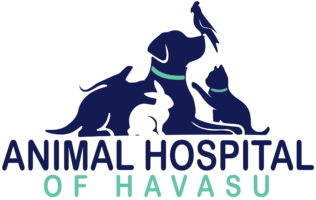 Animal Hospital of Havasu