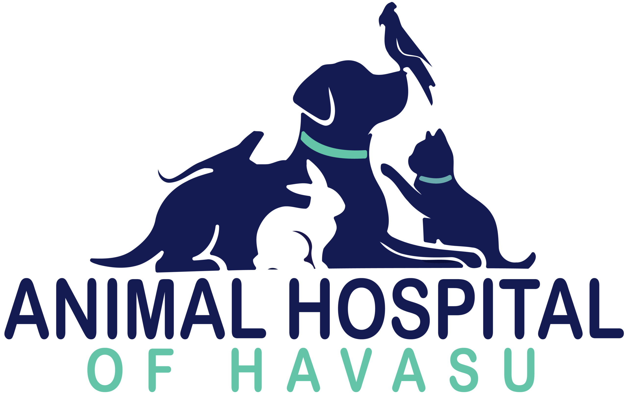 Animal Hospital of Havasu