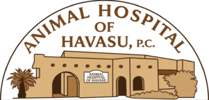 animal hospital of havasu logo 4