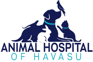Animal Hospital of Havasu