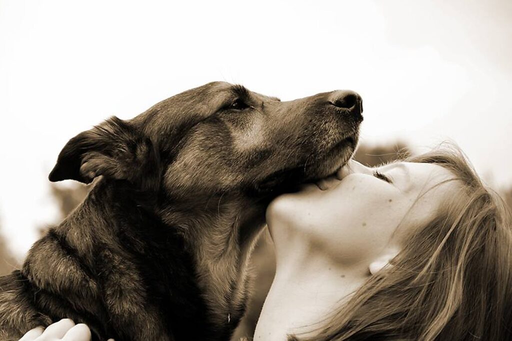 dog, shepherd dog, nature, girl, woman, love, kiss, cuddle, smooch, pet, connectedness, friendship, animal, human, hair, fur, snout
